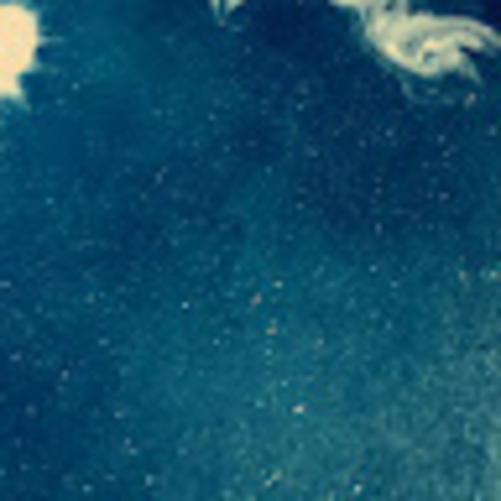 Meet your Posher, Allie